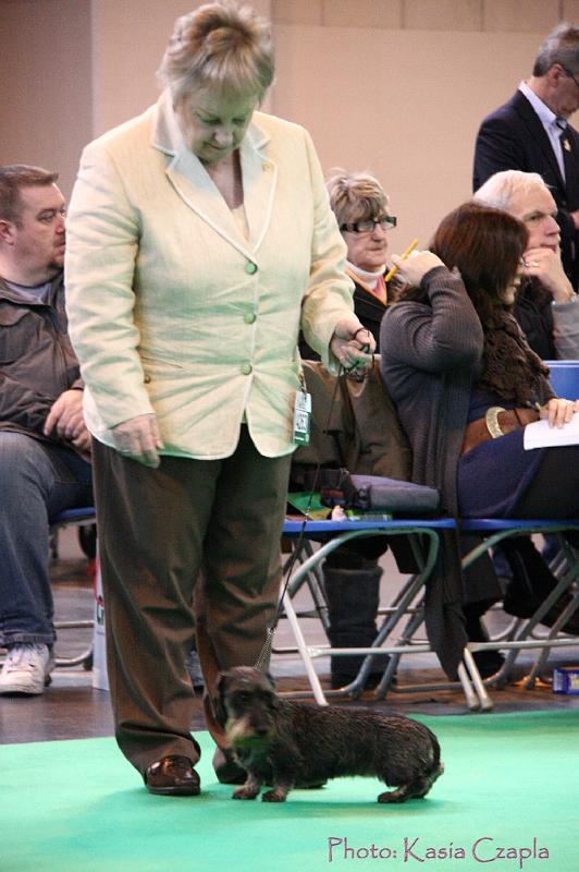 Crufts2011_2 1332.jpg